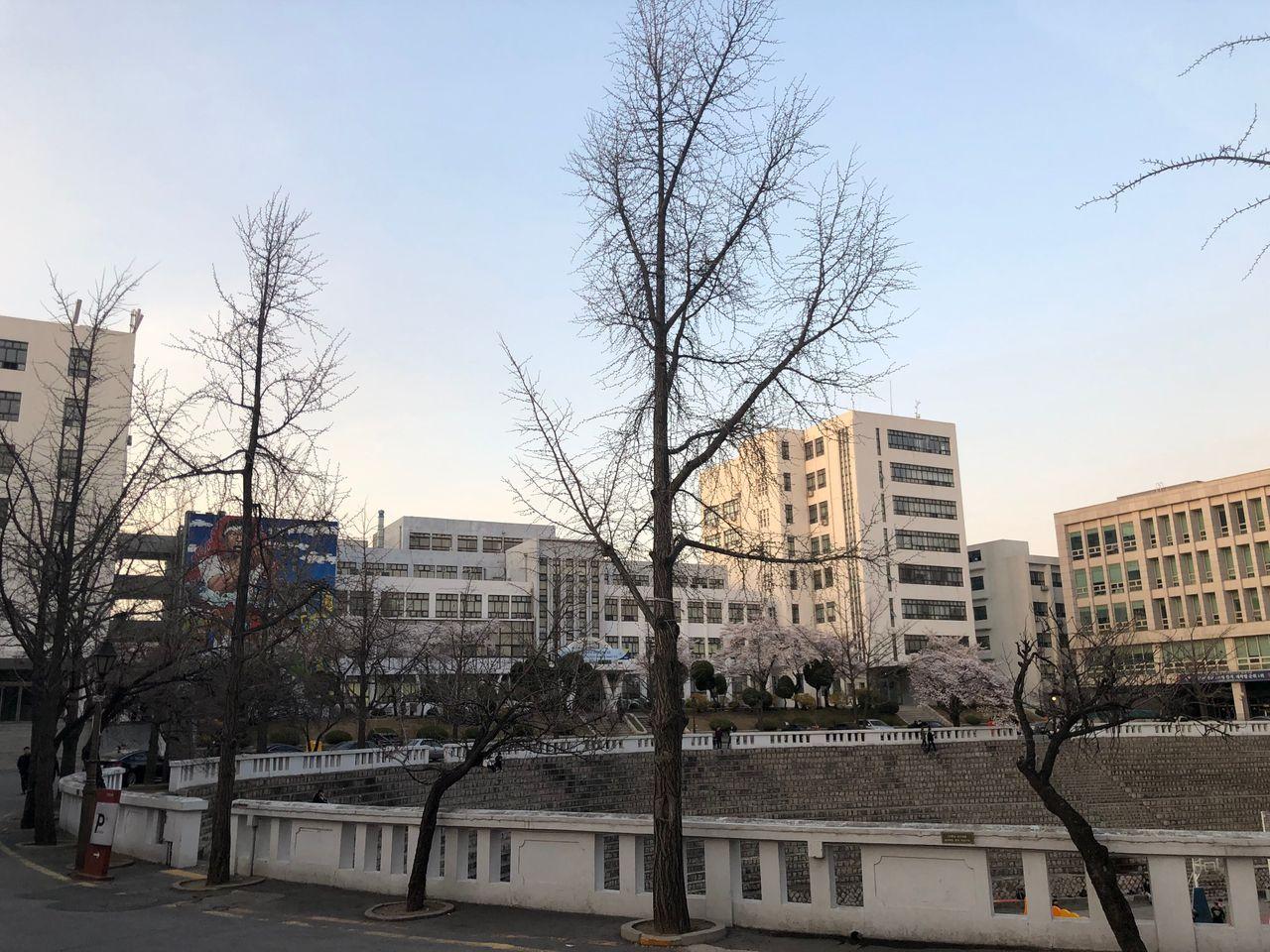 Take a walk on Kyung Hee campus with European architecture and cherry blossoms